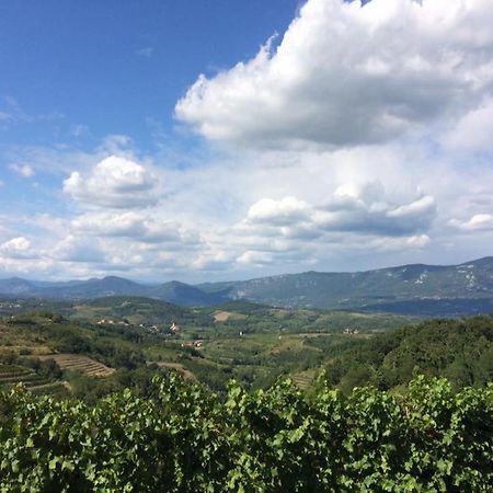 Bed and Breakfast Kraljic - Primoz Cotar Dornberk Exterior foto
